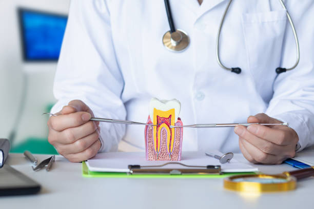 Best Dental Abscess Treatment in Roseau, MN